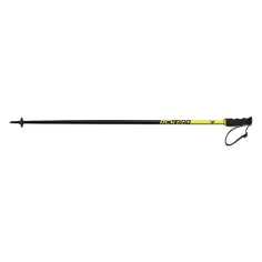 FISCHER RC4 PRO