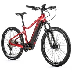 LEADER FOX ORTON 29