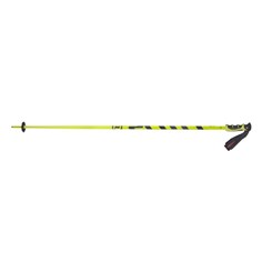 SCOTT POLE TEAM ISSUE