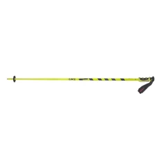 SCOTT POLE TEAM ISSUE