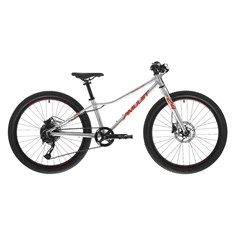 AMULET 24 YOUNGSTER SH, ALU BRUSHED TRANSPARENT/RED, 2023