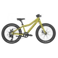 SCOTT ROXTER 20 green