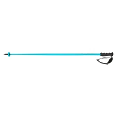 HEAD WORLDCUP SL speed blue