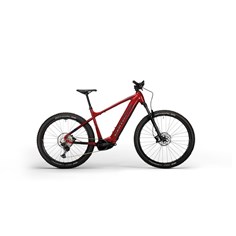 Corratec E-Power X VERT PRO TEAM