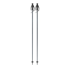 Fischer THE CURV 2026/27