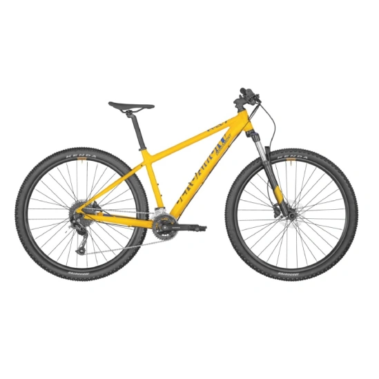 BERGAMONT REVOX 4