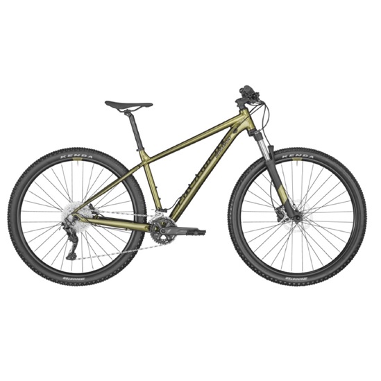 BERGAMONT REVOX 6 2022