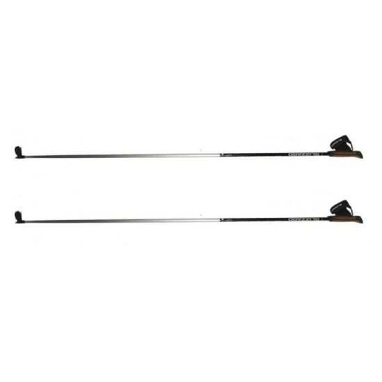 BLIZZARD XC Performance poles, silver/black