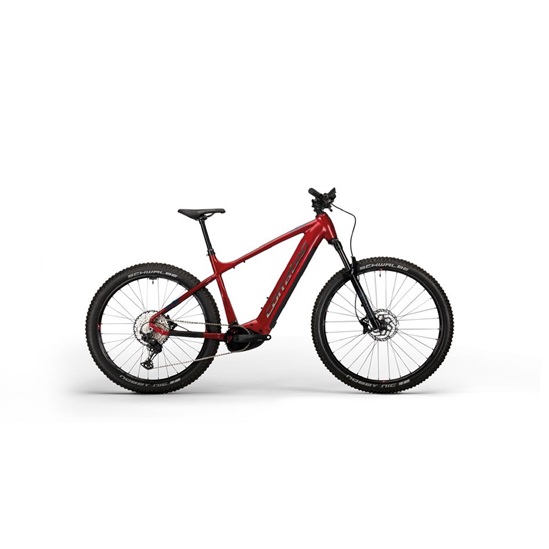 Corratec E-Power X VERT PRO TEAM